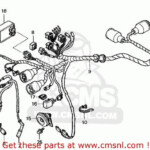 1100 Honda Shadow Wiring Diagram In 2020 Honda Shadow Honda Shadow