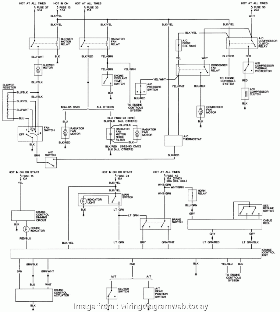16 Best 95 Civic Starter Wiring Diagram Photos Tone Tastic