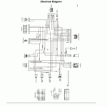 2000 Trx400ex Wiring Diagram