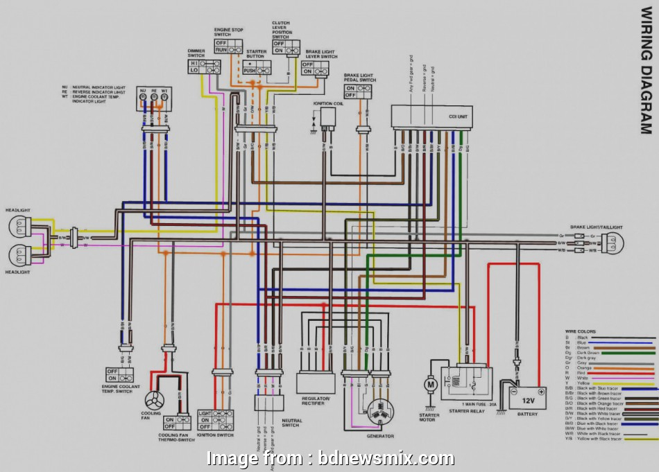 400Ex Starter Wiring Diagram Cleaver Wiring Diagram 2004 Honda 400Ex