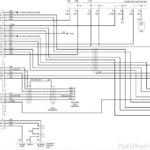 43 8th Gen Civic Radio Wiring Diagram Wiring Diagram Source Online