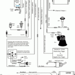 How Can I Hook Up A Battery Disconnect Switch alarm Problem Honda