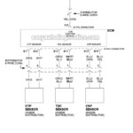 Ignition System Wiring Diagram 1994 1995 2 2L Honda Accord