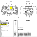 2004 Honda Accord Headlight Wiring