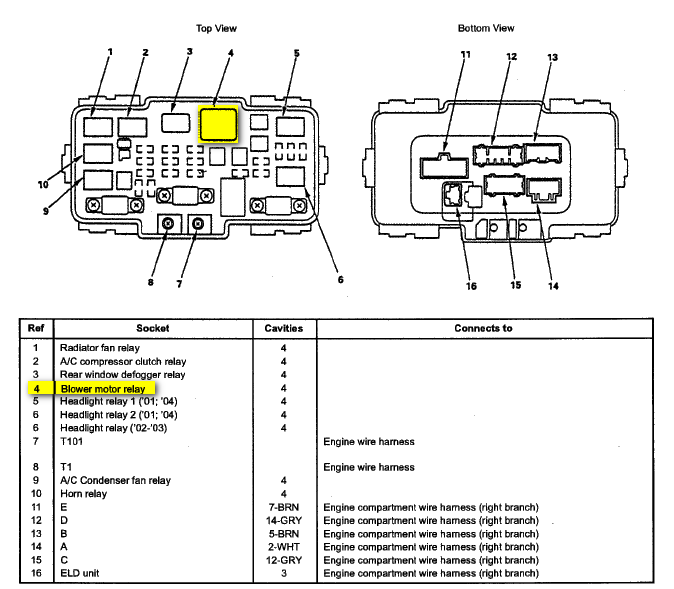 2004 Honda Accord Headlight Wiring