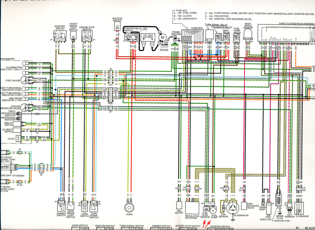 Honda Ruckus Wiring Diagram