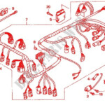 Honda X4 Wiring Harness